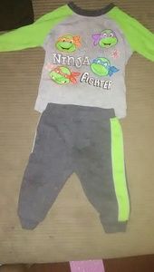 Teenage Ninja Turtle